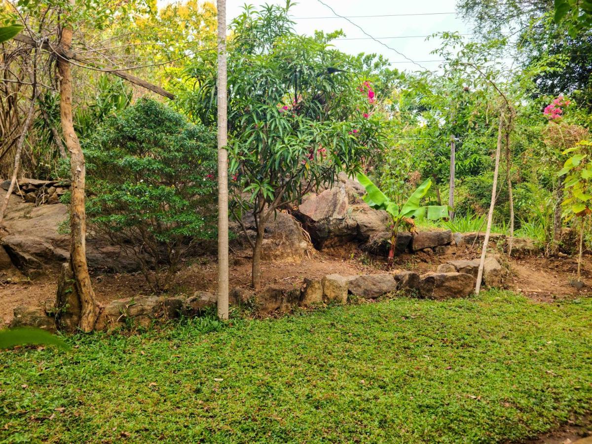 Woodholic Homestay Sigiriya Esterno foto