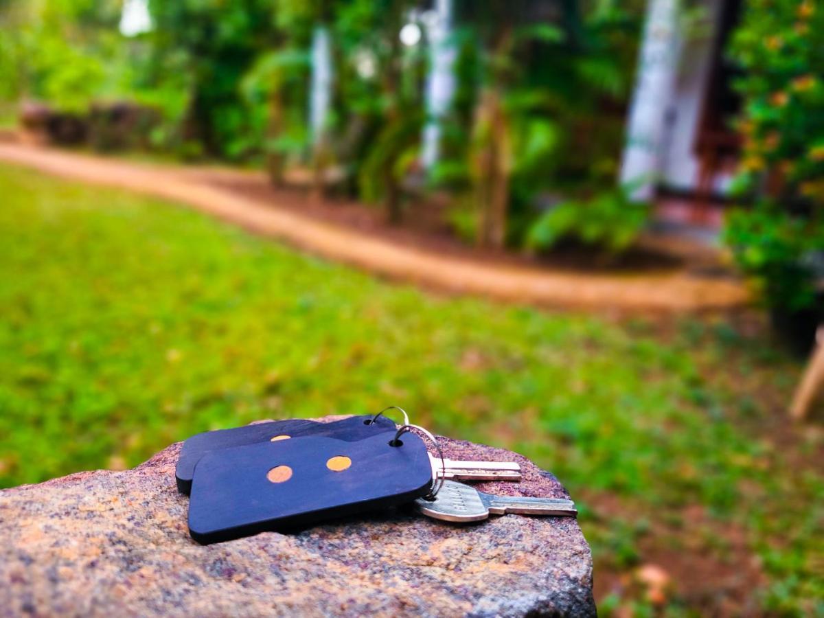 Woodholic Homestay Sigiriya Esterno foto