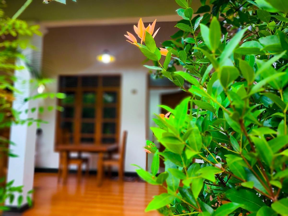 Woodholic Homestay Sigiriya Esterno foto