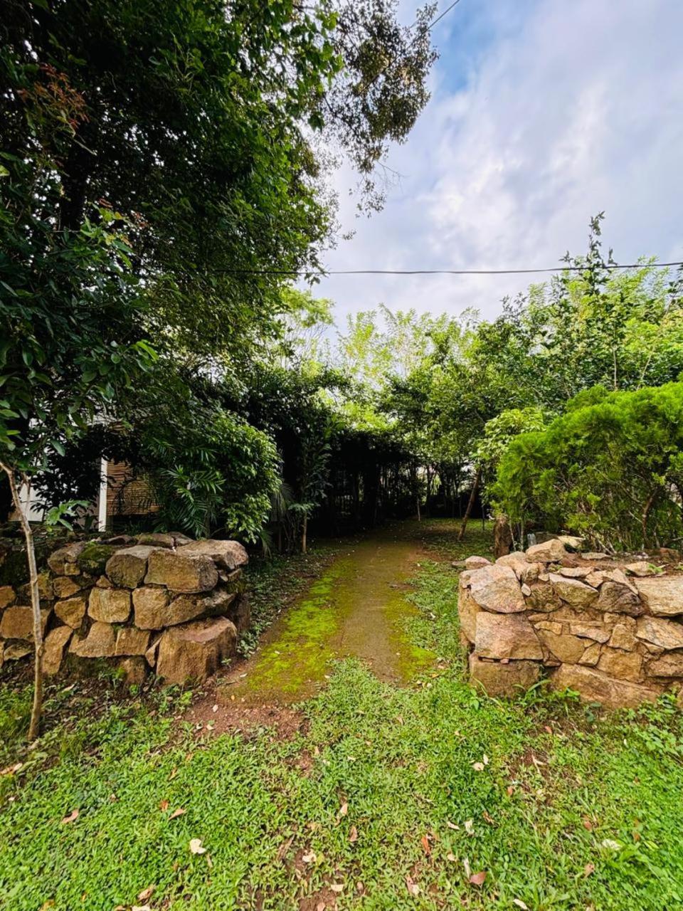 Woodholic Homestay Sigiriya Esterno foto